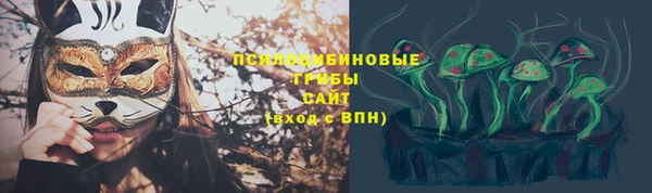 МДПВ Богданович