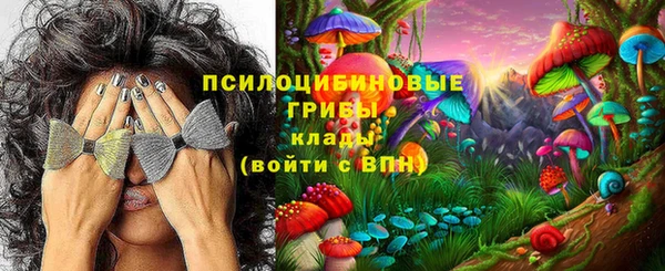 гидропоника Богородск